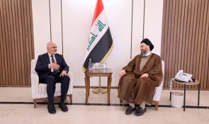السيد الحكيم يؤكد مع النواب الكردستانيين أهمية حكومة الكفاءات وتسريع تشريع القوانين الخدمية