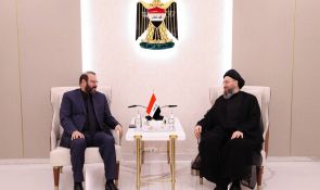 السيد الحكيم يشدد على تخليد تضحيات الشهداء وإدراج سيرهم في المناهج الدراسية