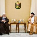 Sayyid Al-Hakeem to head of the Shiite Islamic Council in Lebanon: Our challenges are common and similar to the nature of the two brotherly countries and peoples